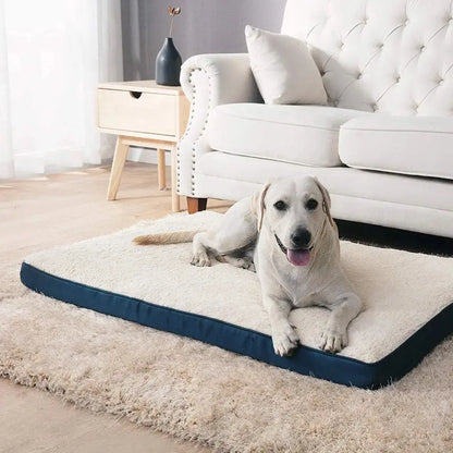 lit pour chien indestructible Joie de chien