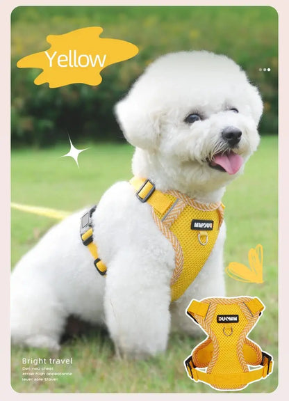 🐕‍🦺Harnais petit chien Joie de chien
