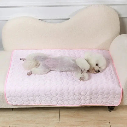 🐾Tapis fraîcheur chien - Joie de chien