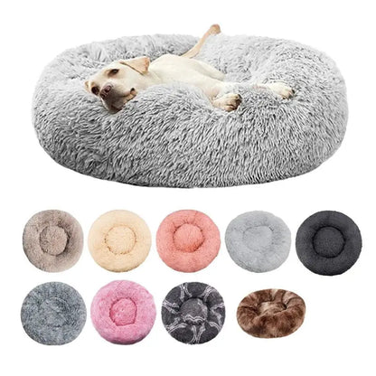 🐶Panier à chien Joie de chien