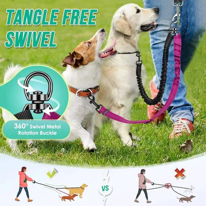 LAISSE DOUBLE  CHIEN Joie de chien