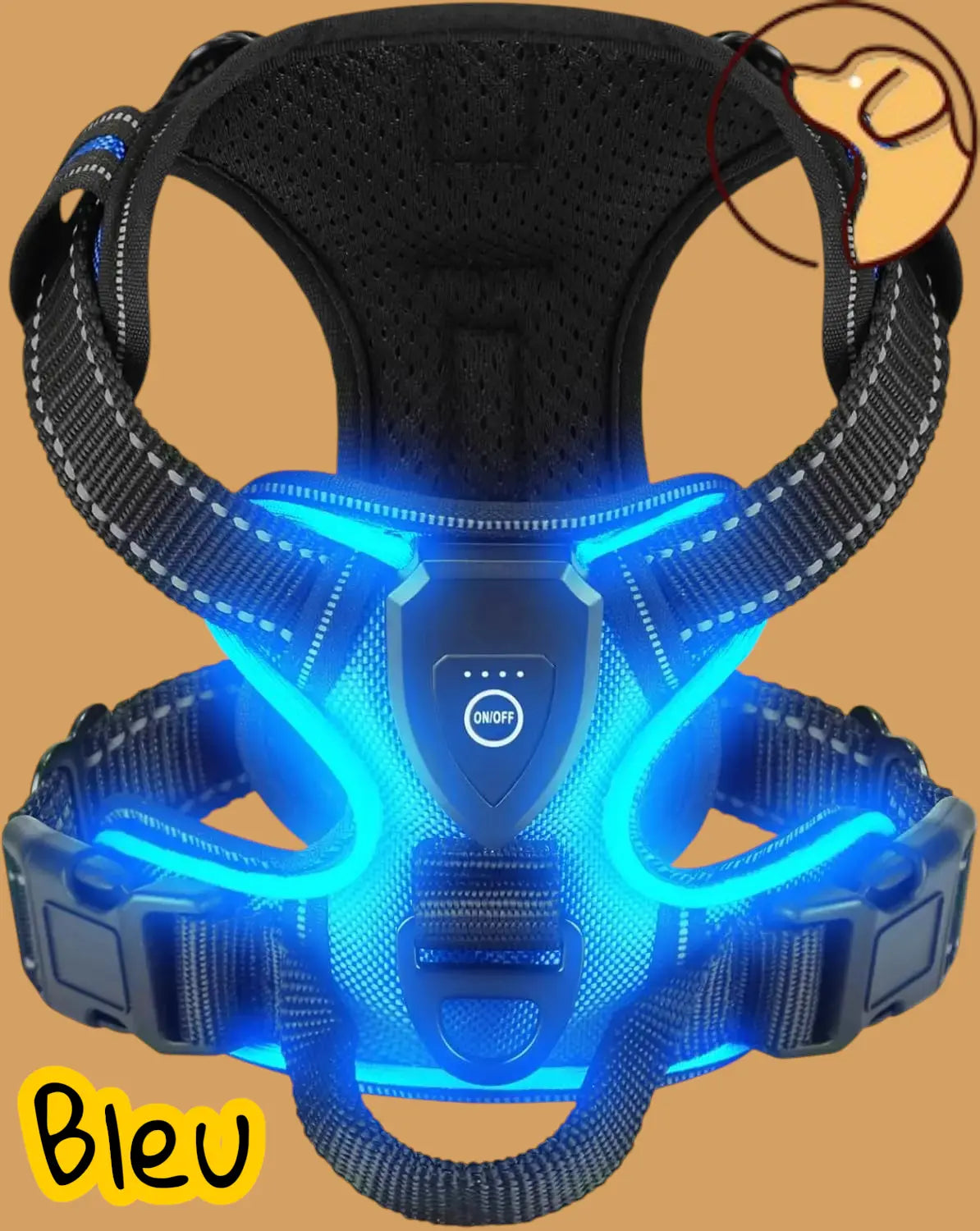 🐕‍🦺Harnais anti traction pour chien Joie de chien