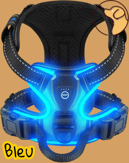 🐕‍🦺Harnais anti traction pour chien Joie de chien