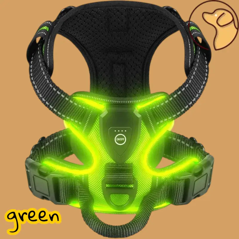 🐕‍🦺Harnais anti traction pour chien Joie de chien