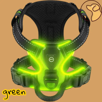 🐕‍🦺Harnais anti traction pour chien Joie de chien