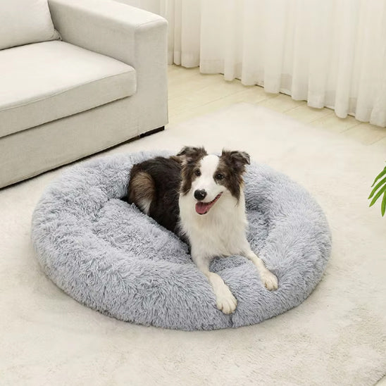 Coussin pour chien