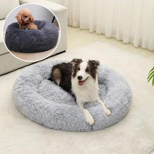 Coussin pour chien