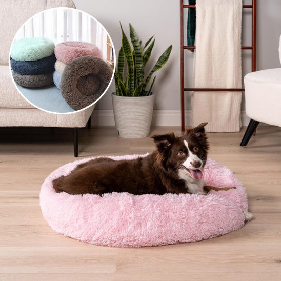 Coussin pour chien