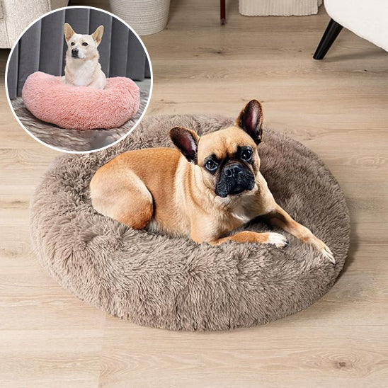 Coussin pour chien