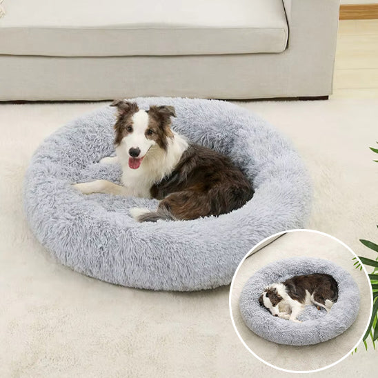 Coussin pour chien