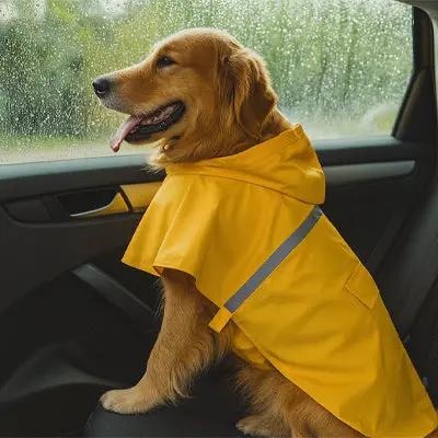 Manteau de pluie chien | UltraShield Joie de chien
