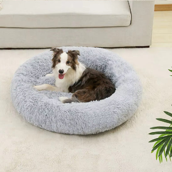 Coussin pour chien