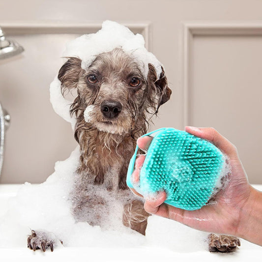 toilettage pour chien