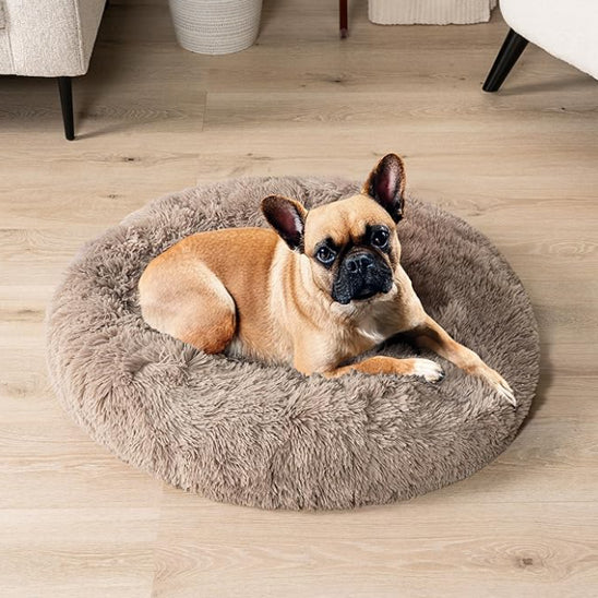 Coussin pour chien