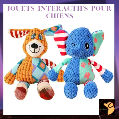 🐾jouets interactifs pour chiens - Joie de chien