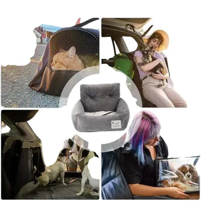 🐾Siege auto chien Joie de chien