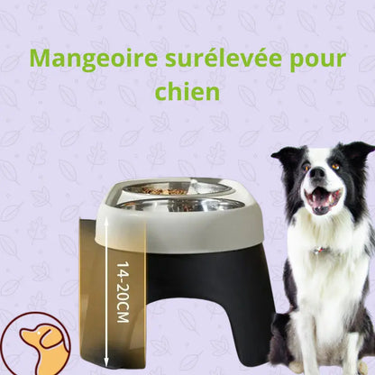 gamelle surélevée chien Joie de chien