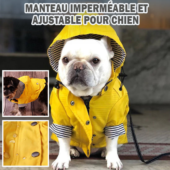 Manteau Chien