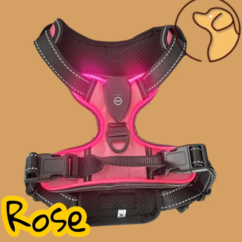 🐕‍🦺Harnais anti traction pour chien Joie de chien