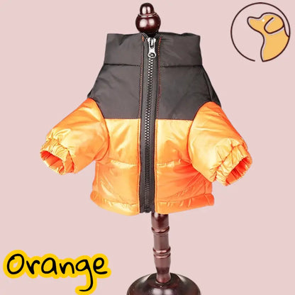Veste Chien Hiver Chaude Réfléchissante Joie de chien