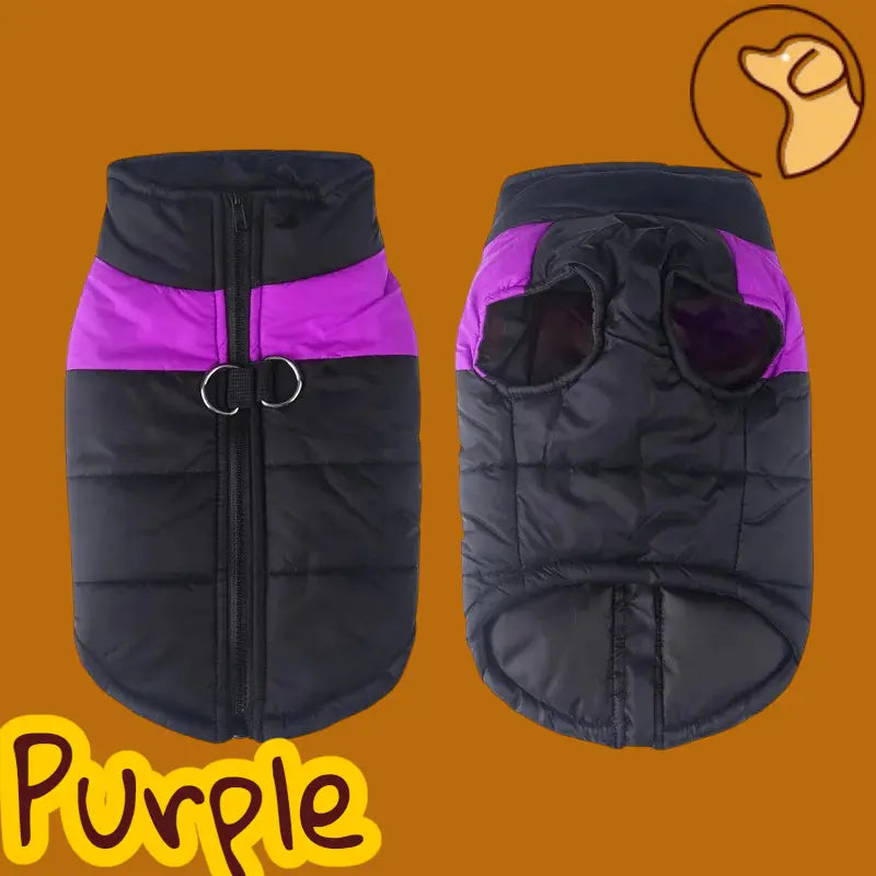 Manteau Hiver Imperméable pour Chien Joie de chien