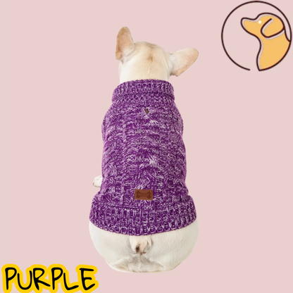 Pull en tricot pour chien Joie de chien