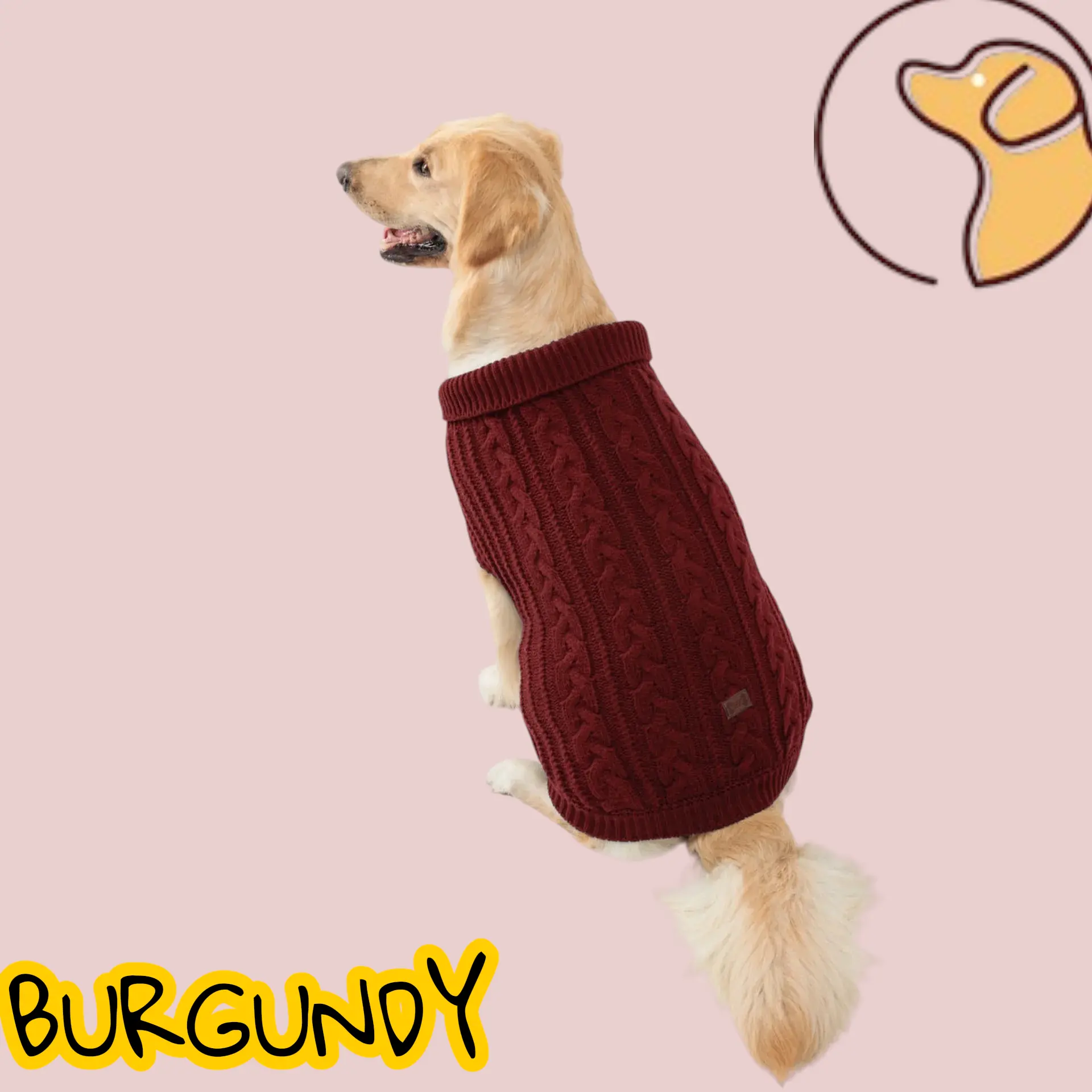 Pull en tricot pour chien Joie de chien