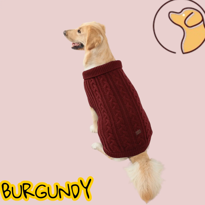 Pull en tricot pour chien Joie de chien