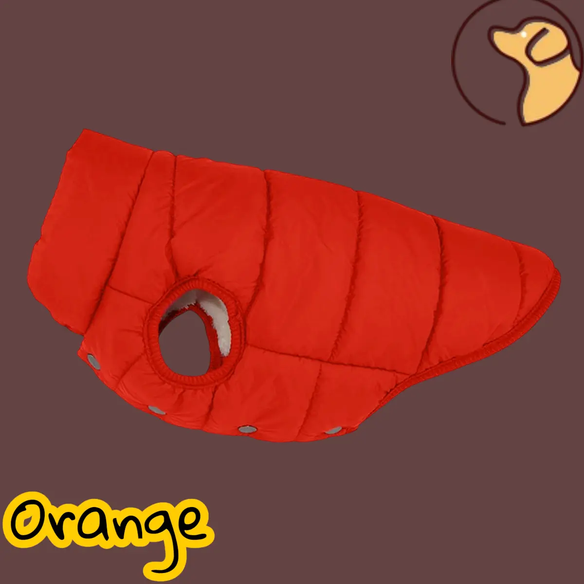 Vêtements d'hiver pour chiens, veste chaude résistante au froid pour l'extérieur, avec doublure en coton polaire, manteau pour chihuahua bouledogue français, chiot Joie de chien